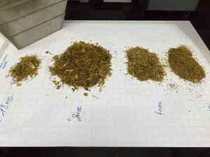 Eine optimale Verteilung der Fraktionen für maximale Effizienz. Der Grossteil einer Ration sollte bei der Lochgrösse von 8 mm in einer Schüttelbox hängenbleiben.