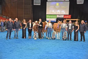 SF-Championwahl (v.r.): Miss: Kilian Nevada, Daniel und Adelheid Graf, Bleiken BE; Reserve: Sunside Kilian Sf Ivabia, Christian Stucki, Uebeschi BE; Mention: Kilian Mayla, Fritz Wenger, Pohlern BE.