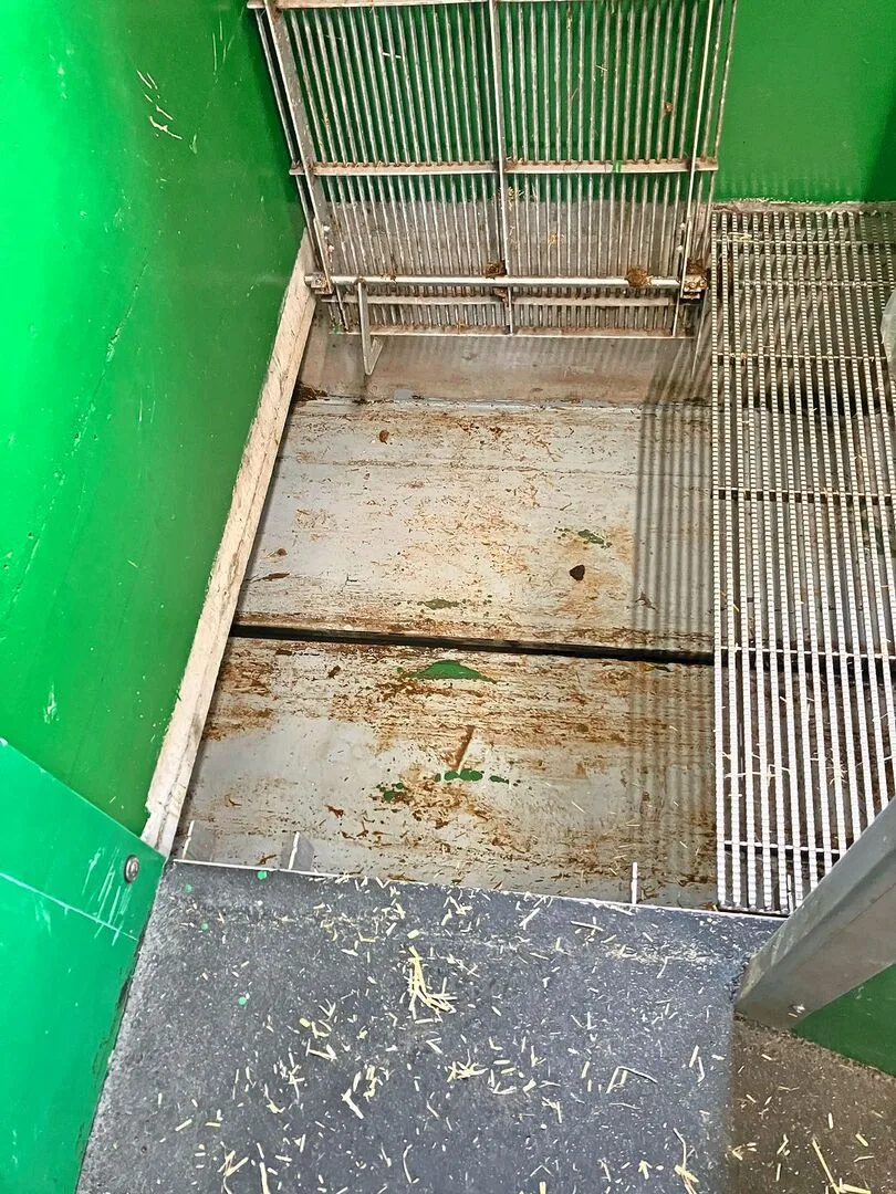 Blick in einen Güllekanal mit Kot- und Harntrennung im Schweinestall.
