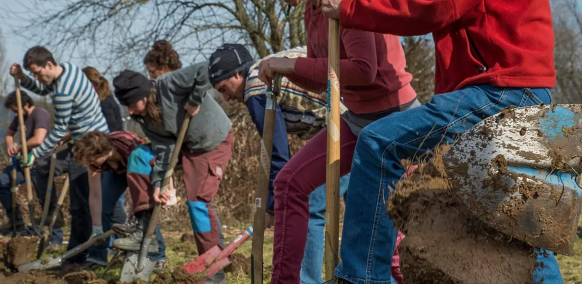 Die Mitglieder haben rund fünf Einsätze pro Jahr auf einem "solidarischen" Betrieb. Als Gegenleistung erhalten sie Gemüse und Früchte. (Bild solawi.ch)