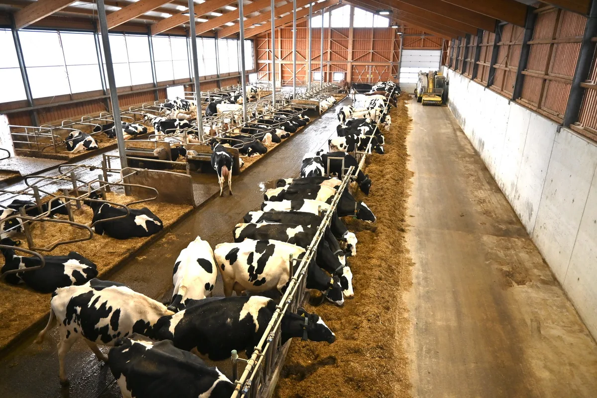 Für den Schweizer Tierschutz sind die Beitragskürzungen «unverständlich»