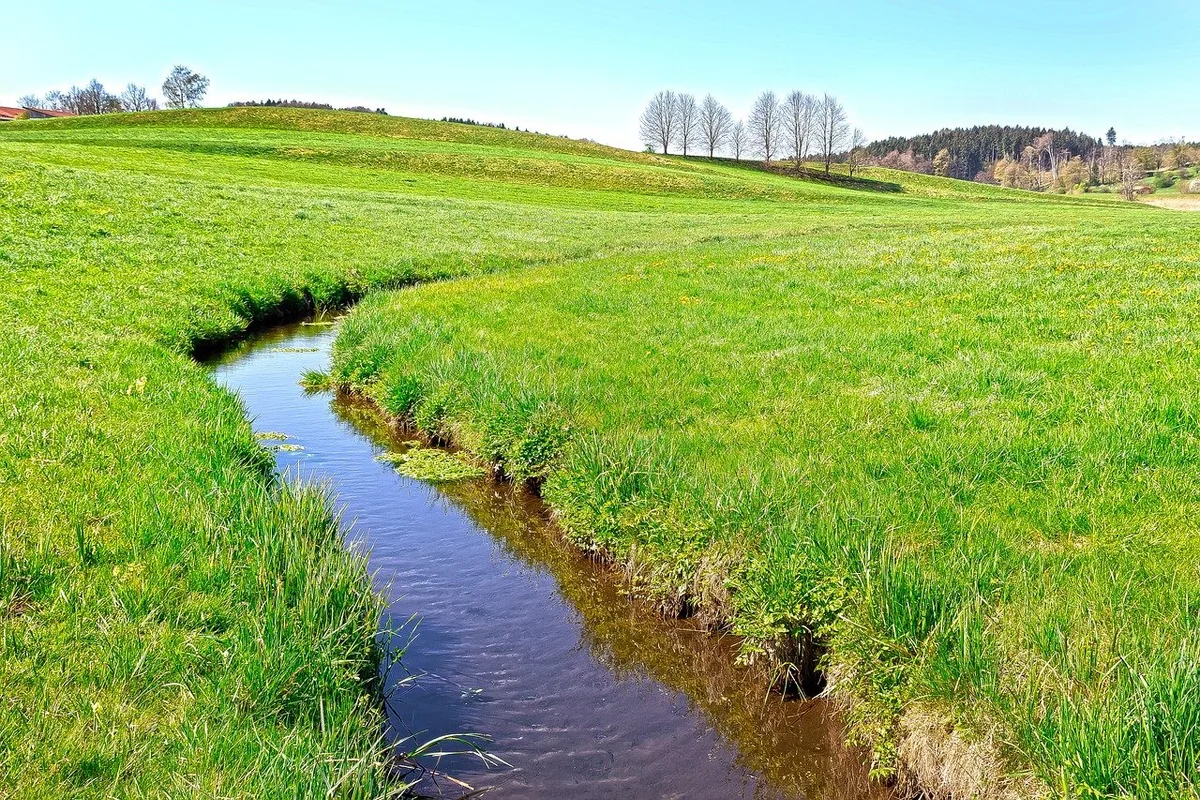 bach_stefanie_schweihofer PSM einfacher zulassen – Umwelt-, Gesundheits- und Konsumentenverbände auf den Barrikaden