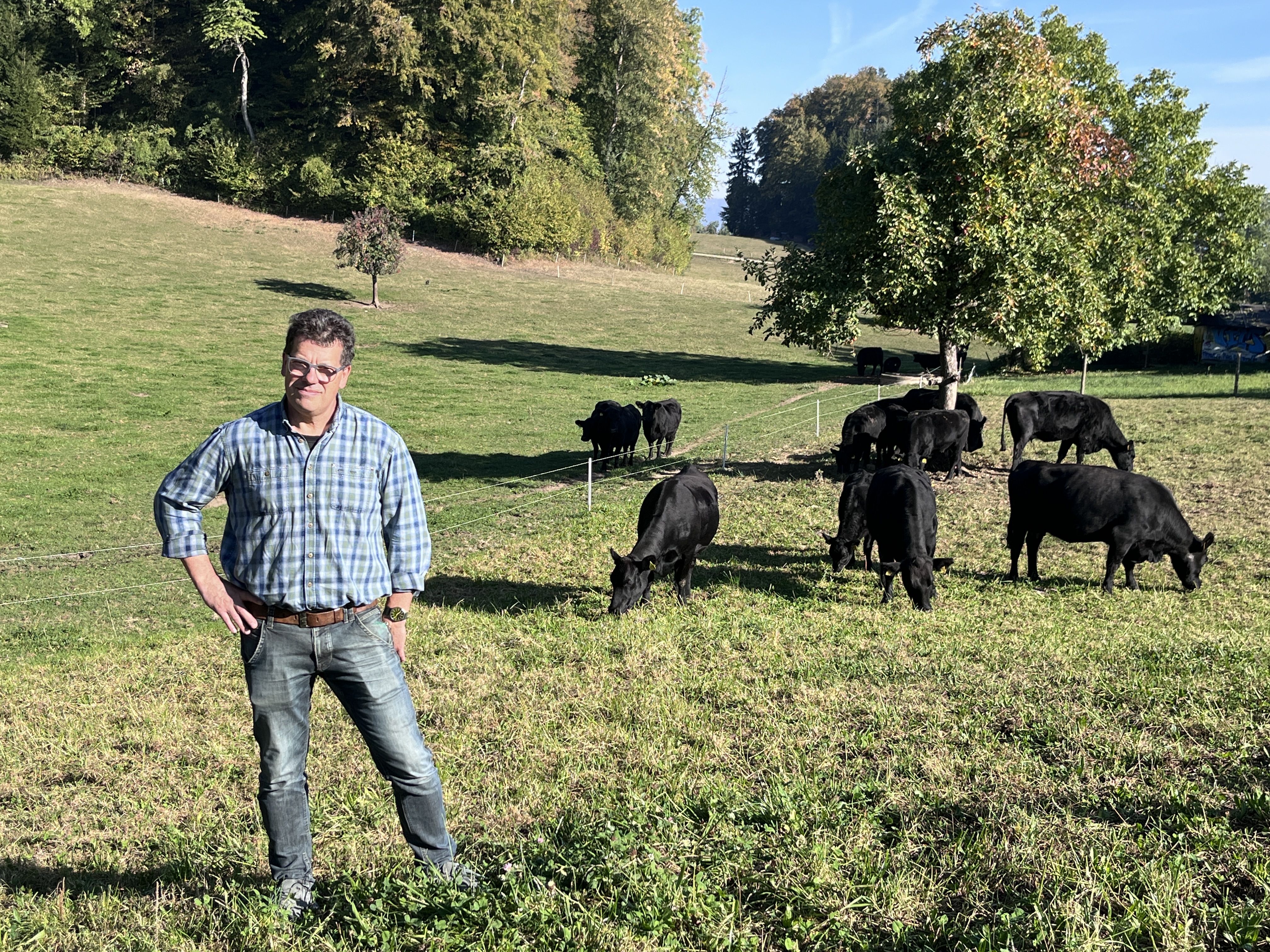 Martin Eichenberger ist grosser Angus-Fan. Die Herde auf dem Oberen Schönenberg AG umfasst rund 100 Tiere.