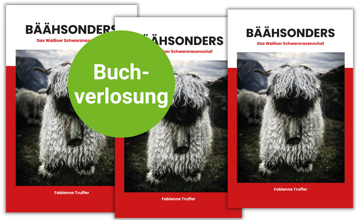 «Bäähsonders» ist ein besonderes Buch über das besondere Walliser Schwarznasenschaf