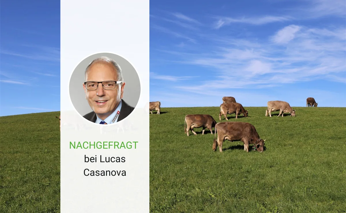 «Heute ist das Genetikangebot beim Braunvieh sehr breit»