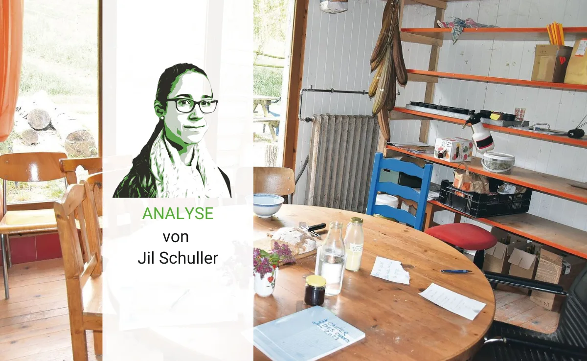 Analyse_kollektive Sind Kollektive die Bauernfamilien der Zukunft?