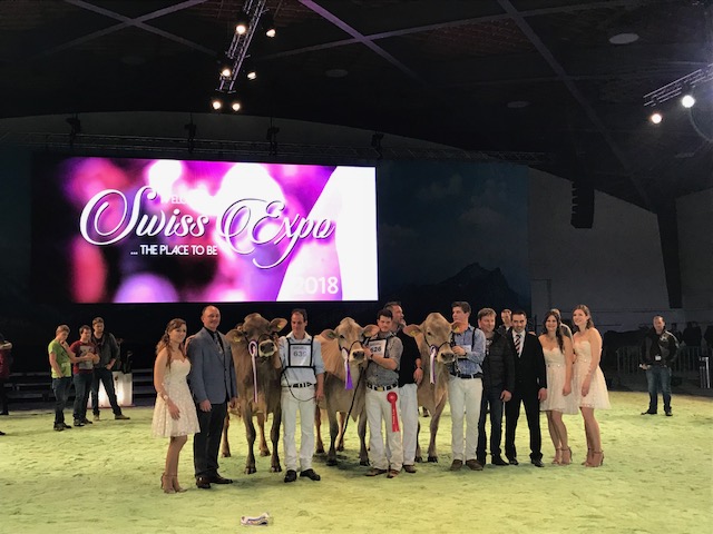 Die Sieger des Brown Swiss-Wettbewerbs an der Swiss Expo 2018. (Bild akr)