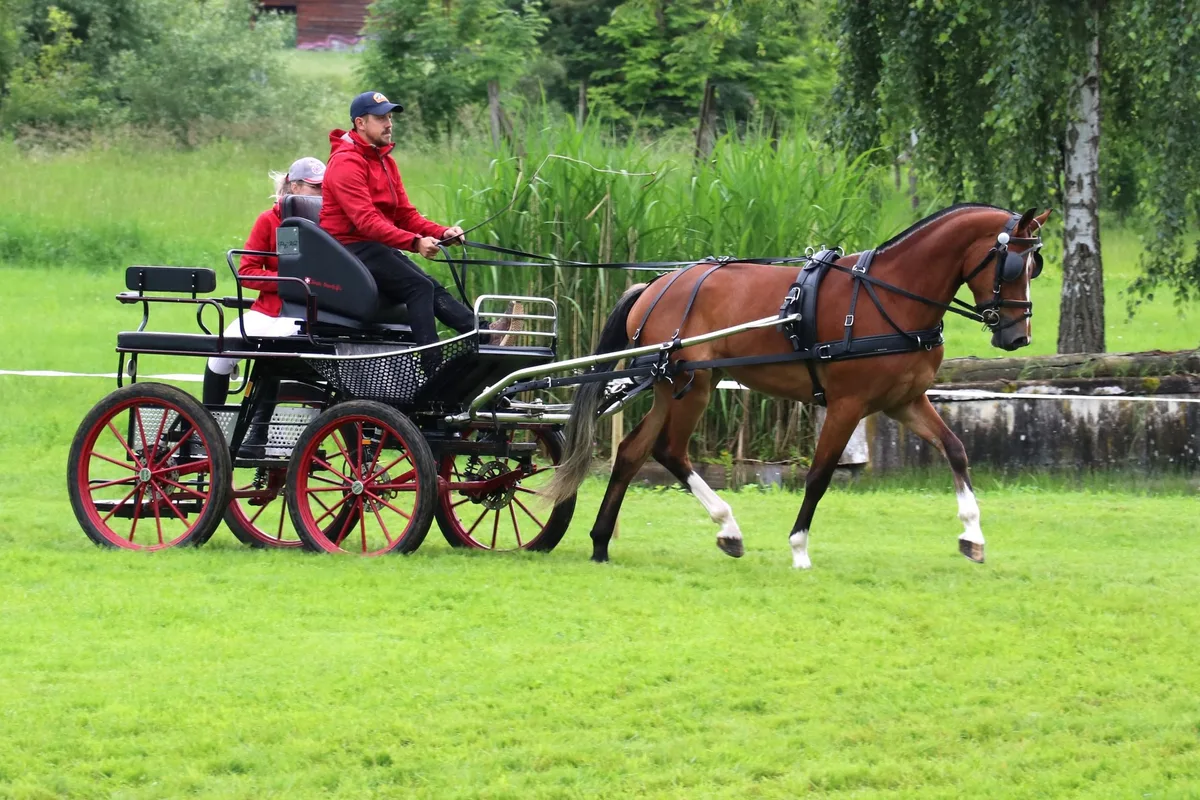 1_Philomena Erfolgreiche Westschweizer beim Feldtest im Aargau