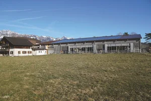 Die Kühe der Familie Gstöhl können frei zwischen dem Stall und den angrenzenden Weiden wechseln. Bild: Michael Götz