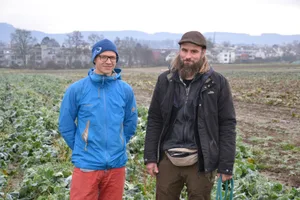 Die beiden Anbauleiter Jonathan Hexges (links) und Nils Hofmann im Winterblumenkohl.