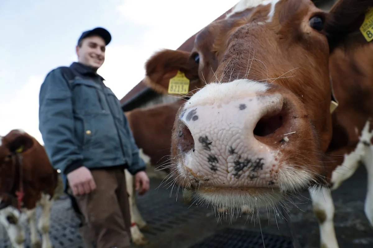 c5819e86f01894c70409561aaea45c7d0f660b3a Young Farmer Othmar Gut bewirtschaftet den Hof "Vorder Ludige" allein. Sein Vater und Kollegen helfen bei Arbeitsspitzen. Gerne würde er einen Laufstall für seine Milchkühe bauen. Bild: Ruben Sprich