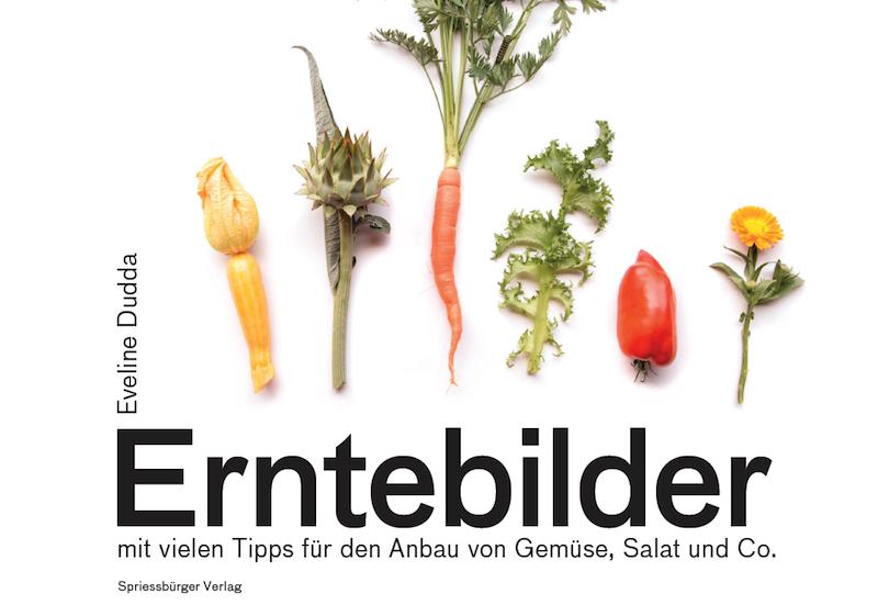 Das Büchlein «Erntebilder» soll auf eine Vielfalt von Gemüse und Salat aus dem eigenen Garten «gluschtig» machen. (Bild zVg/Video et)