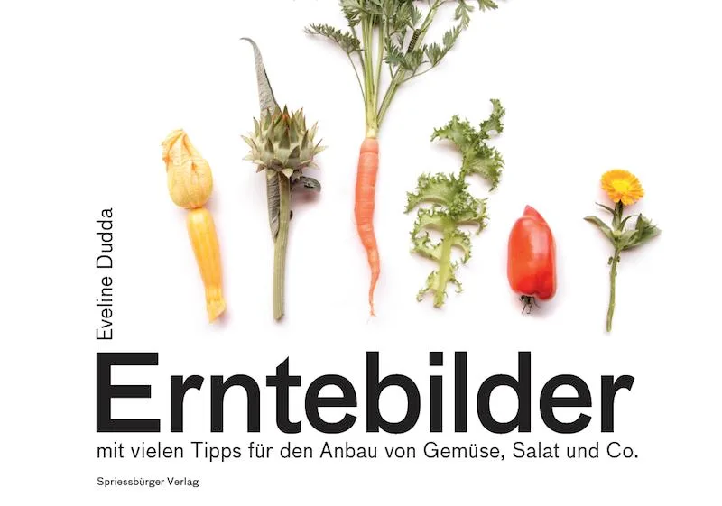 0f7eec6019a98a08e97311eb241b00b4923f18ad Das Büchlein «Erntebilder» soll auf eine Vielfalt von Gemüse und Salat aus dem eigenen Garten «gluschtig» machen. (Bild zVg/Video et)