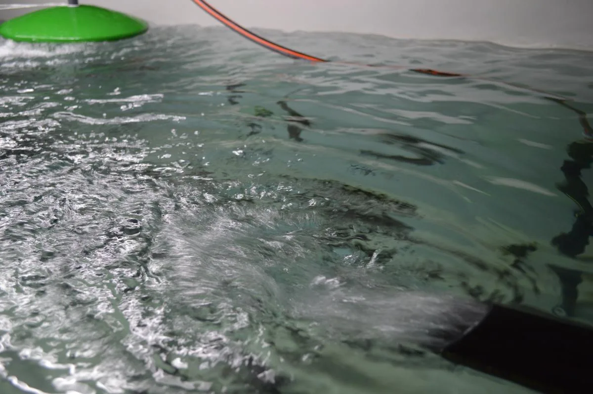 fischzucht-6-1200px Die Ostschweizer Fisch-Diebe haben keine Spuren hinterlassen