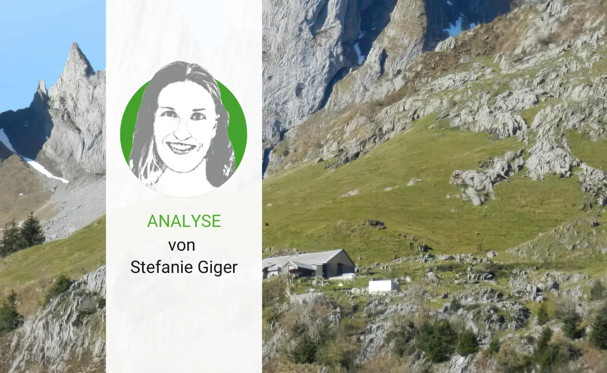 analyse-giger-48 Die eigentliche Arbeit beginnt erst jetzt