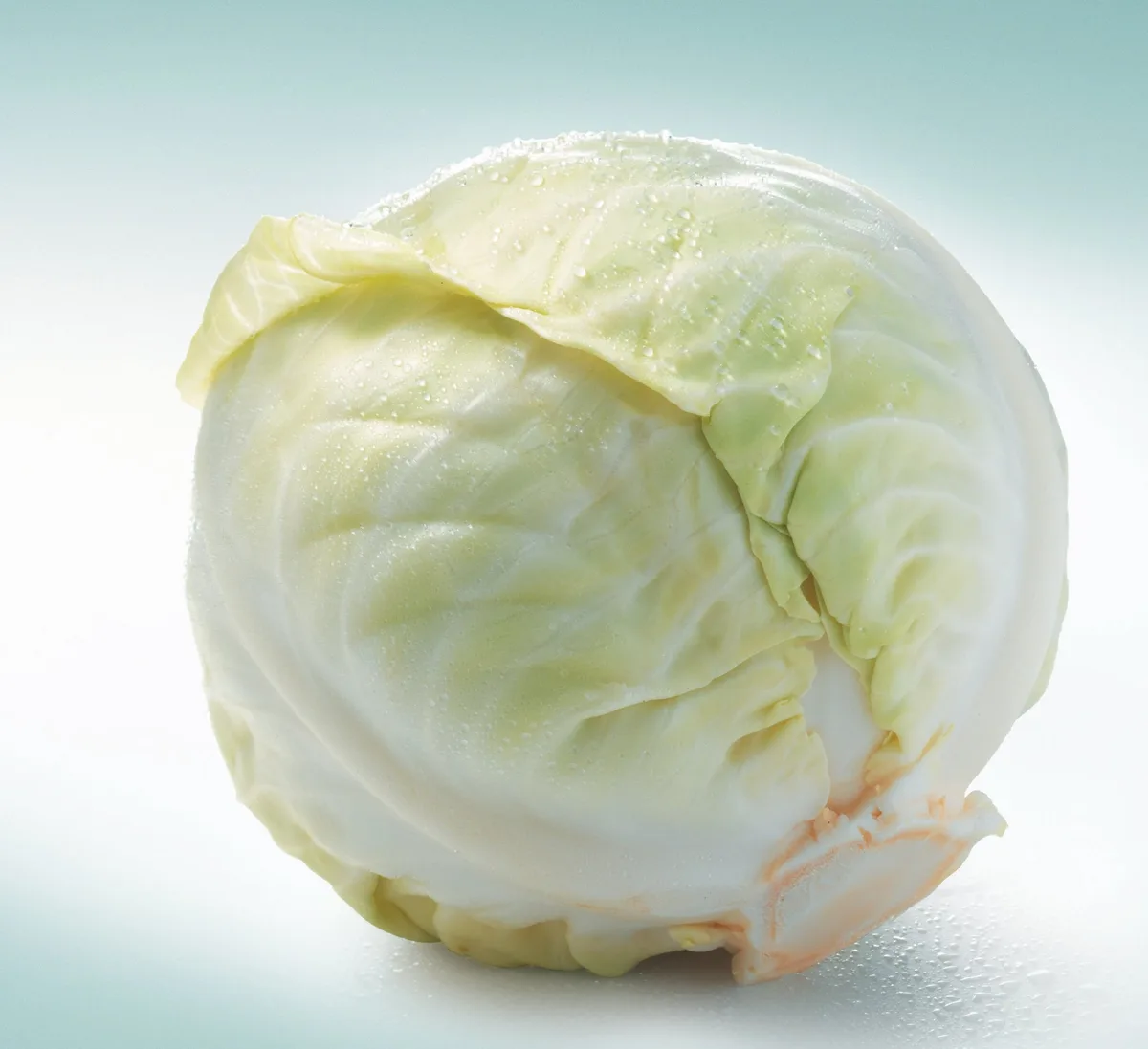1a2fa8f02895b05cc64ee629de8ed88d1635670c Vitaminbombe: Der Weisskabis liefert mehr Vitamin C als Orangen. (Bild: zVg)