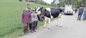 Die Familie Doris und Bernhard Wüthrich mit den Kindern Rahel und Lars, hier mit der Schöneuterkuh der Herbstschau in Rüegsbach. Alle Kühe stammen aus eigener Zucht.