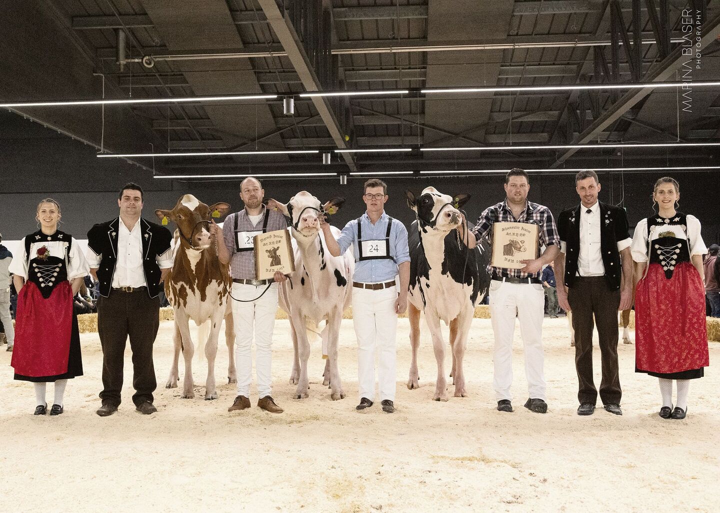 Die Juniormissen der Holstein/Red Holstein: Sihu Bad Oceana von Ueli Siegenthaler (links), Gobelis Arrow Priscilla, Gobeli Holstein (Mitte) und Zafyra von Joel und Markus Fankhauser.