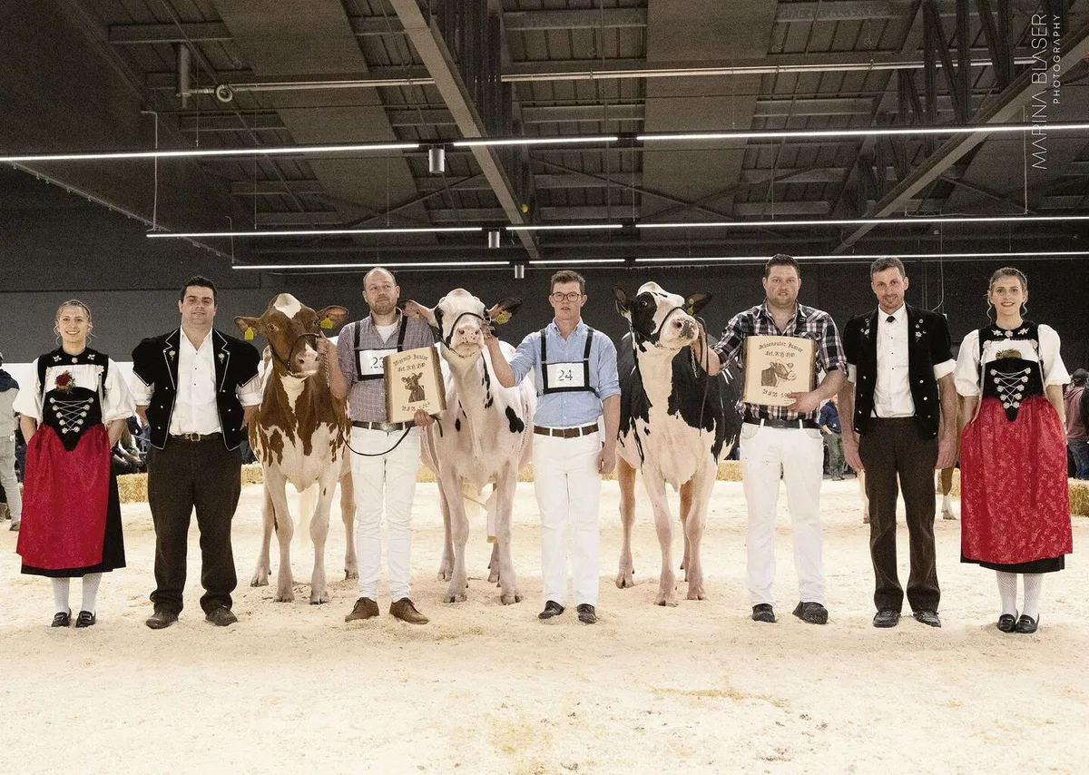 Die Juniormissen der Holstein/Red Holstein: Sihu Bad Oceana von Ueli Siegenthaler (links), Gobelis Arrow Priscilla, Gobeli Holstein (Mitte) und Zafyra von Joel und Markus Fankhauser.