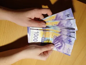Woher kommt das Einkommen in der Landwirtschaft?