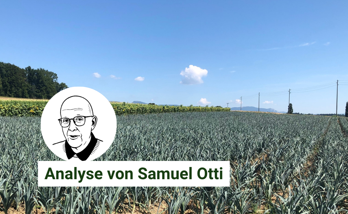 Gemüsekulturen verursachen nicht immer die gleichen Kosten und können darum keinen fixen Preis haben. Damit verliert der Produzent an Wertschöpfung.