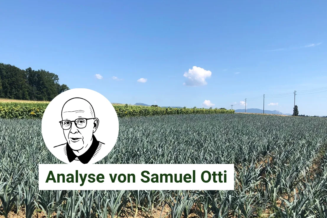 Artikel Analyse BauZ_OttiVSGP.png Gemüsekulturen verursachen nicht immer die gleichen Kosten und können darum keinen fixen Preis haben. Damit verliert der Produzent an Wertschöpfung.