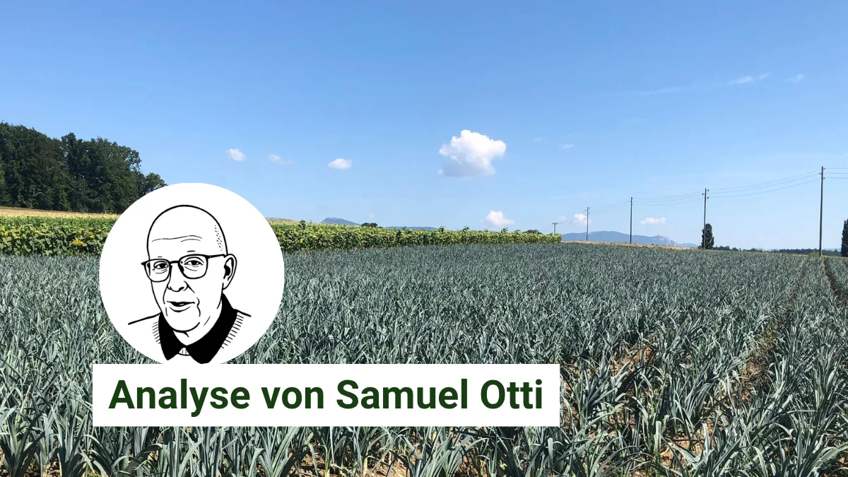 Artikel Analyse BauZ_OttiVSGP.png Gemüsekulturen verursachen nicht immer die gleichen Kosten und können darum keinen fixen Preis haben. Damit verliert der Produzent an Wertschöpfung.