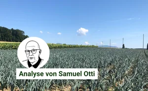 Gemüsekulturen verursachen nicht immer die gleichen Kosten und können darum keinen fixen Preis haben. Damit verliert der Produzent an Wertschöpfung.