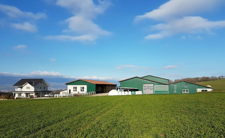 Die Ferme des Mollanges ist der erste Austragungsort nach neuem Konzept. (Bild Holstein Switzerland)