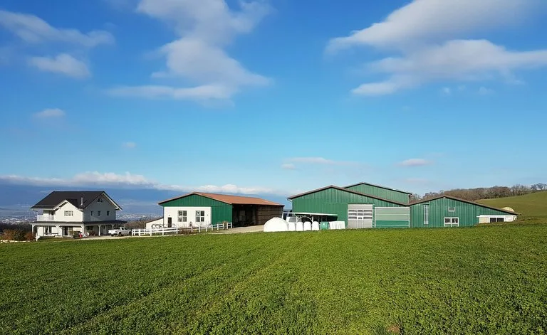0b05876e00a457bd97a4f86e305354d512ddbad1 Die Ferme des Mollanges ist der erste Austragungsort nach neuem Konzept. (Bild Holstein Switzerland)