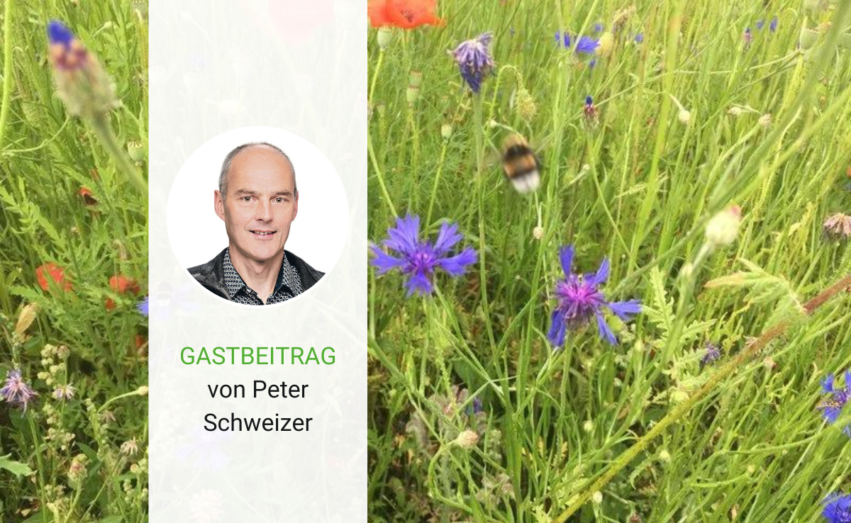 Peter Schweizer nervt sich, wenn die Biodiversität ins Lächerliche gezogen wird