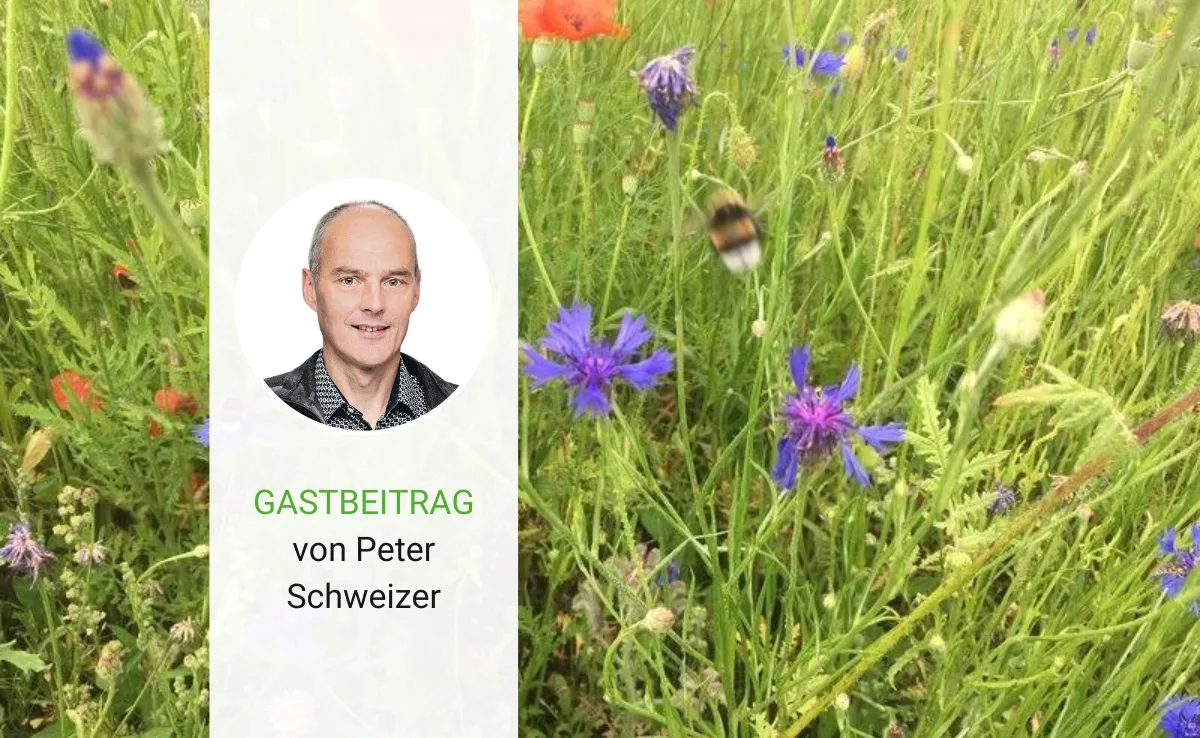 Peter Schweizer nervt sich, wenn die Biodiversität ins Lächerliche gezogen wird