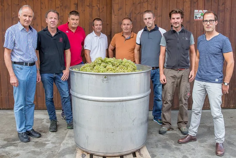 674ac78f3216421a7d64931b4566ad2aef97fd43 Neun Winzer für ein Wein. (Bild Agro-Marketing Thurgau)