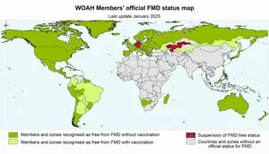 Offiziell MKS-freie Regionen sind grün markiert (Stand Januar 2025).