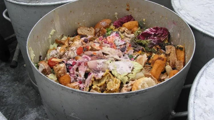 b839d40c366f712258760c83e41be860d02c0174 Der Schutz der Gesundheit muss laut Bundesrat auch beim Thema Foodwaste-Vermeidung gesichert werden. (Bild lid)
