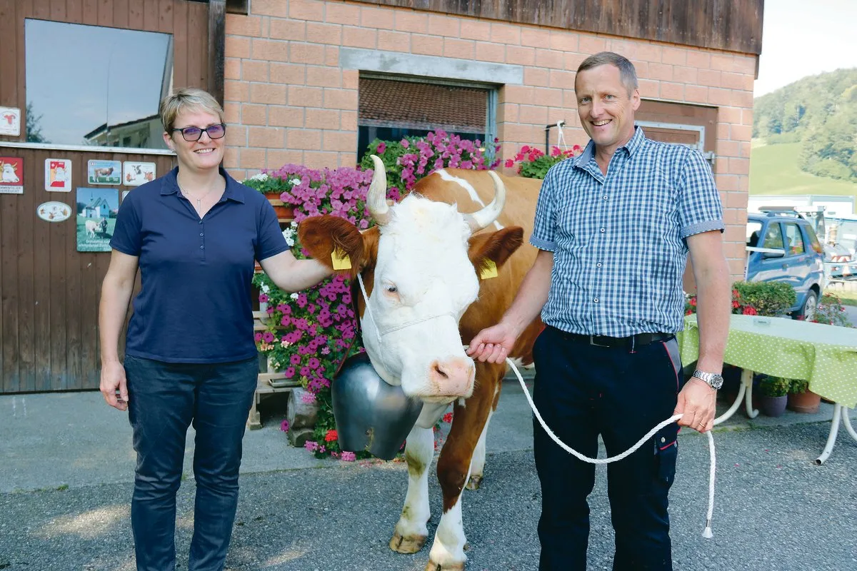 c6c813530c916d967ca4f2013fc14eb619ca5867 Helen und Werner Singer von der «Bachtele» sind stolz auf ihre Simmentaler-Reinzucht-Kühe, besonders auf Bettina. Und auch sie wird auf den Schauplatz geführt. (Bild Benildis Bentolila)