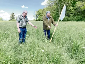 Anton Ruckli (l.) und Andreas Böhni beim Abstecken einer mähbereiten Wiesen am Waldrand oberhalb Sulz LU.