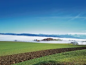 Nebel hat vielfach einen positiven Einfluss auf den lokalen Wasserkreislauf. Durch die feinen Wassertröpfchen in der Luft nimmt die Verdunstung ab. So beeinflussen auch längere Trockenphasen den Grundwasserspiegel nur wenig.