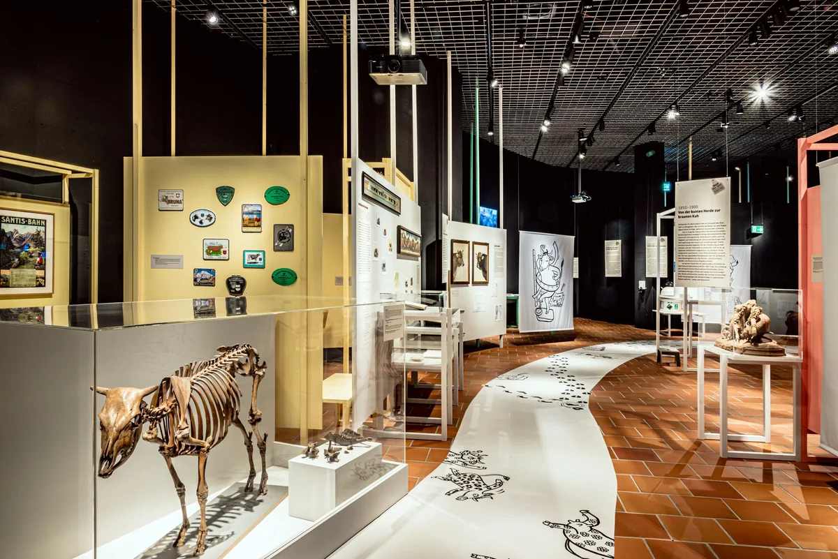 DRUCK-MUSEUM-BURG-ZUG-_c_heikewitzgall-2022-1459_klein Die Ausstellung über die Braunviehzucht im Museum Burg Zug wird verlängert