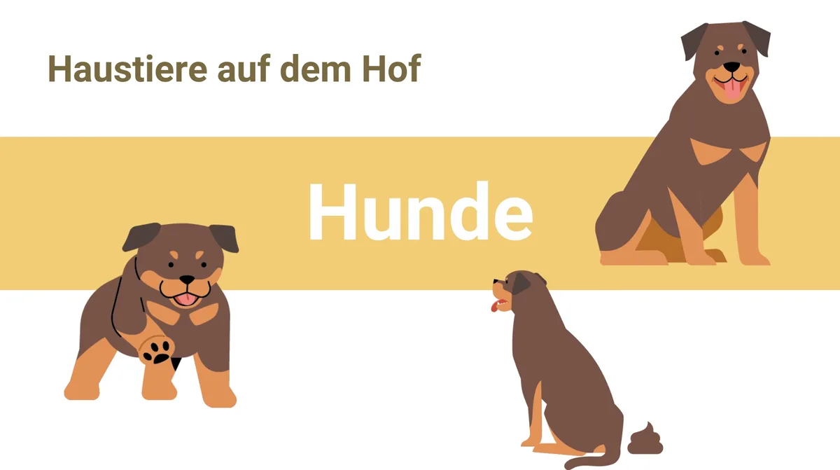 Artikelbilder__7_ Raus mit dem Hund