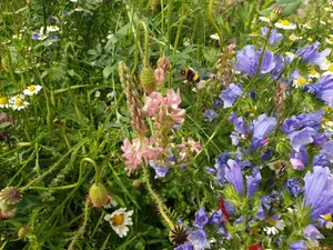 Das «Smaragd»-Netzwerk hat zum Ziel Biodiversität auf europäischer Ebene zu fördern. (Bild ji)
