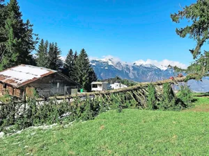 Zu den Vorbereitungen auf der Alp gehören etwa das Aufräumen der im Lauf des Winters umgestürzten Bäume und das Einzäunen der verschiedenen Flächen.