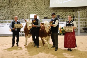 Championne Des 4 Bornes Axonne, eine Tochter des deutschen
Stiers Aron (li.) und Vize-Championne La Croisee Pepita. Ihr Vater ist der in Kanada geborene Worldwide.