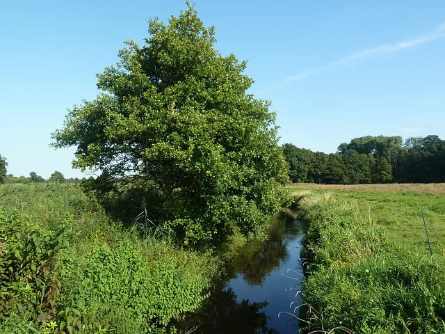 Fruchtfolgeflächen, die ohne grossen Aufwand wieder zur Produktion eingesetzt werden können, müssen nicht kompensiert werden. (Symbolbild Pixabay)
