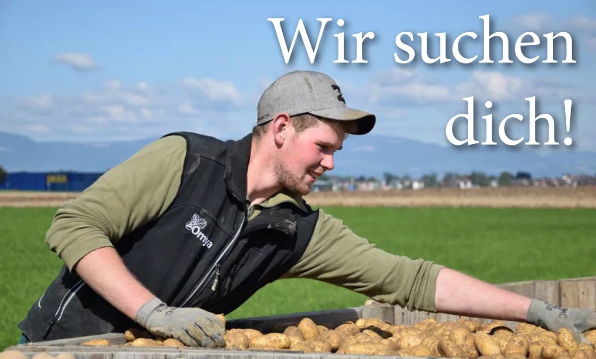 Erzähl uns von deinem Lehrlingsalltag