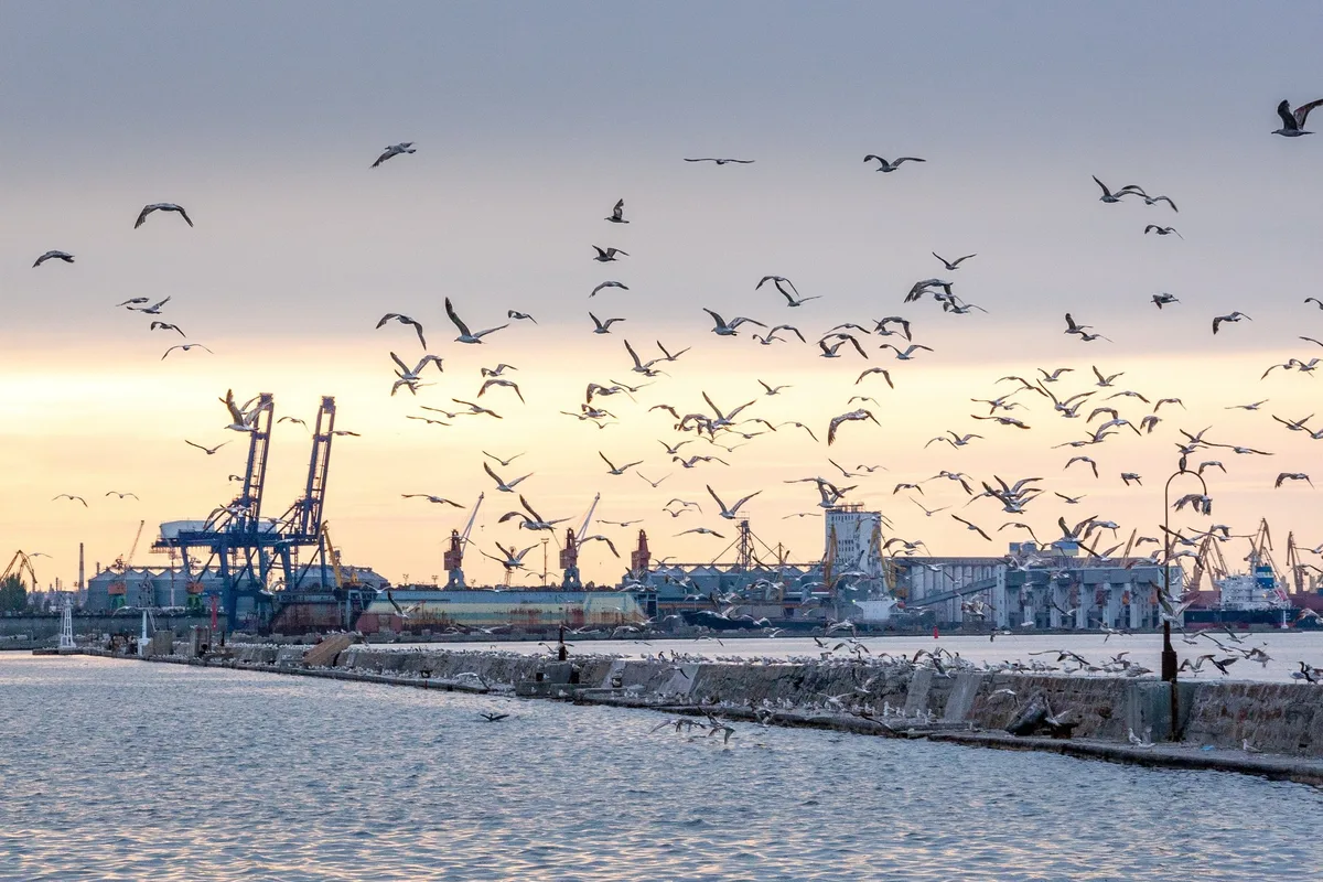 odessa_pixabay «Es geht um die Rettung der besten Ackerböden der Welt»