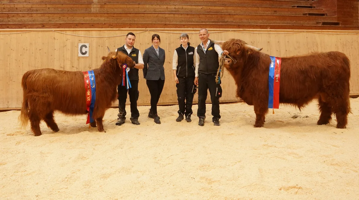 Highland-Cattle-Show: «Mit dieser Qualität müssen sich die Schweizer Züchterinnen und Züchter vor niemandem verstecken»