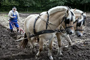 Ein Jahr gibt sich Joachim Schreijäg Zeit, um zu schauen, ob sein neues Leben gelingt. (Symbolbild Pixabay)