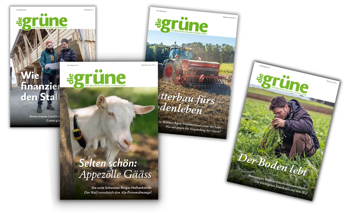 covers_DG Ad-interim-Lösung für die Redaktionsleitung von «die grüne»