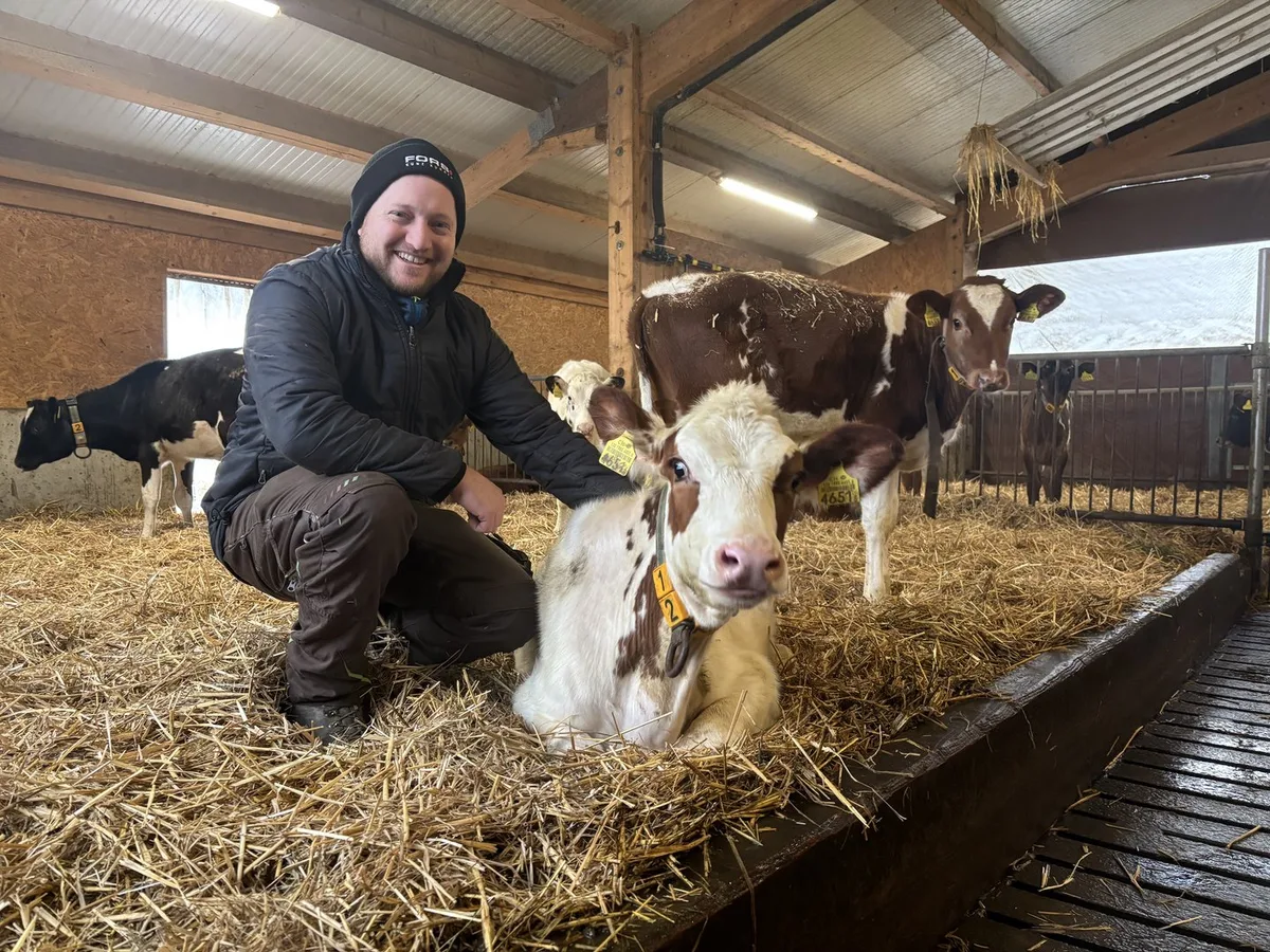 BZ-BET5-51-MarcelLuder-fmo_Haupt Statt C-Milch abliefern, die Kälber auf dem eigenen Betrieb ausmästen – so macht es Marcel Luder
